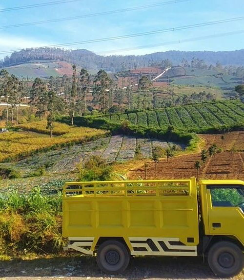 Soluciones innovadoras para optimizar rutas de transporte en Colombia